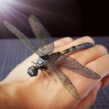 Libelle Modell 3D Metall Puzzle, DIY Geschenk...
