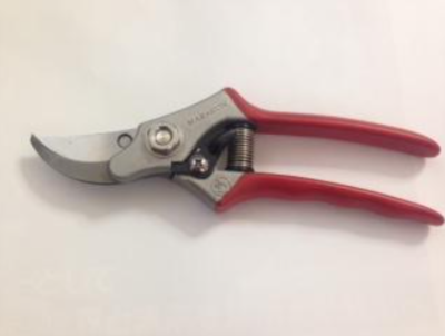 MASAKUNI Bonsai Tools No.2010 Pruning Shears 188mm/200g NEW MASAKUNI Bonsai Tools No.2010 Pruning Shears 188mm/200g NEW