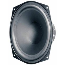 Visaton Ws20e-8 8" Poly Cone Woofer 8 Ohm