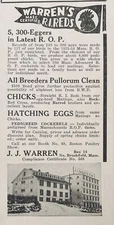 1934 AD.(XG2)~J.J. WARREN POULTRY FARM, NORTH BROOKFIELD, MASS. R.I. REDS