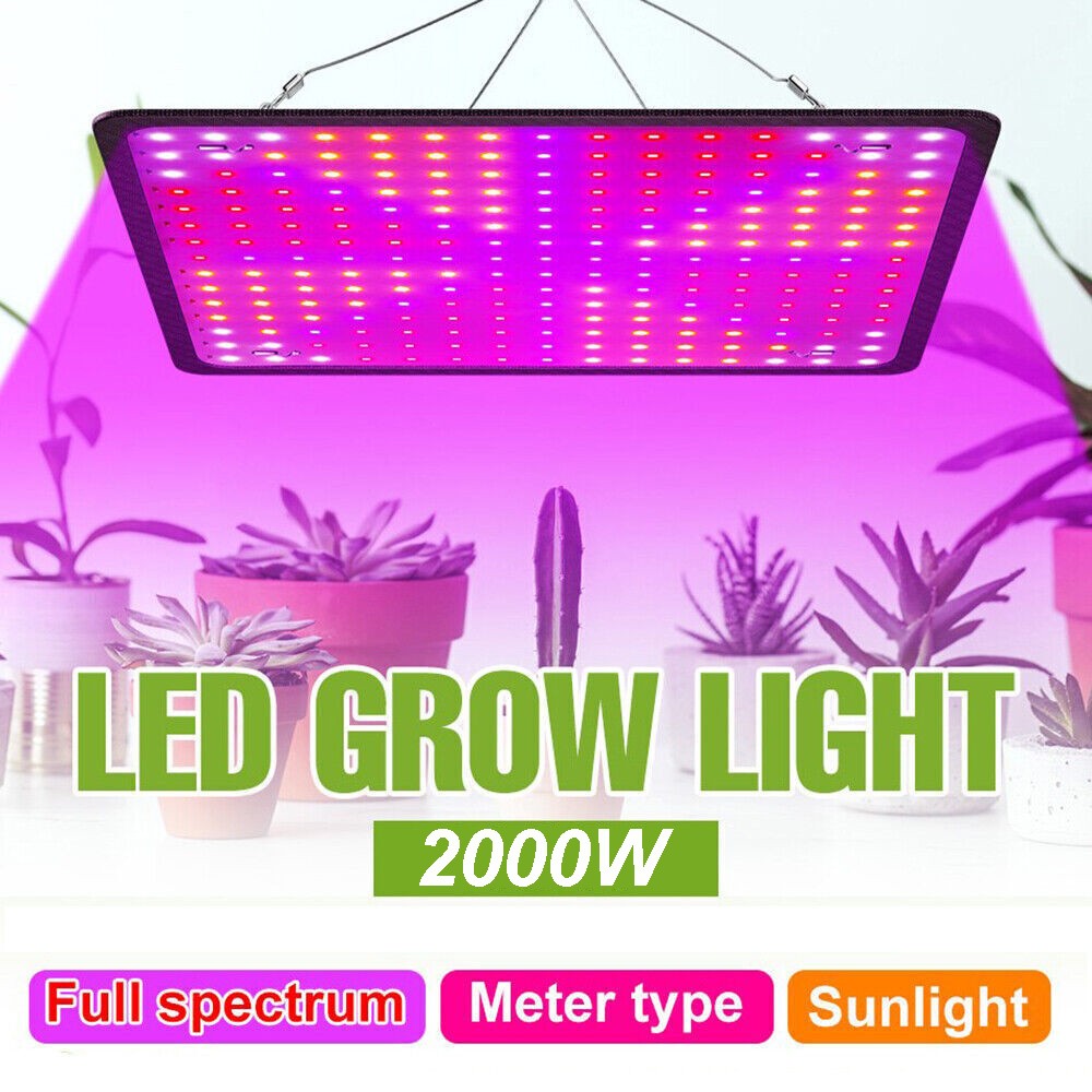 Plant Growing Lamp Light For Indoor Plants Full Spectrum Us