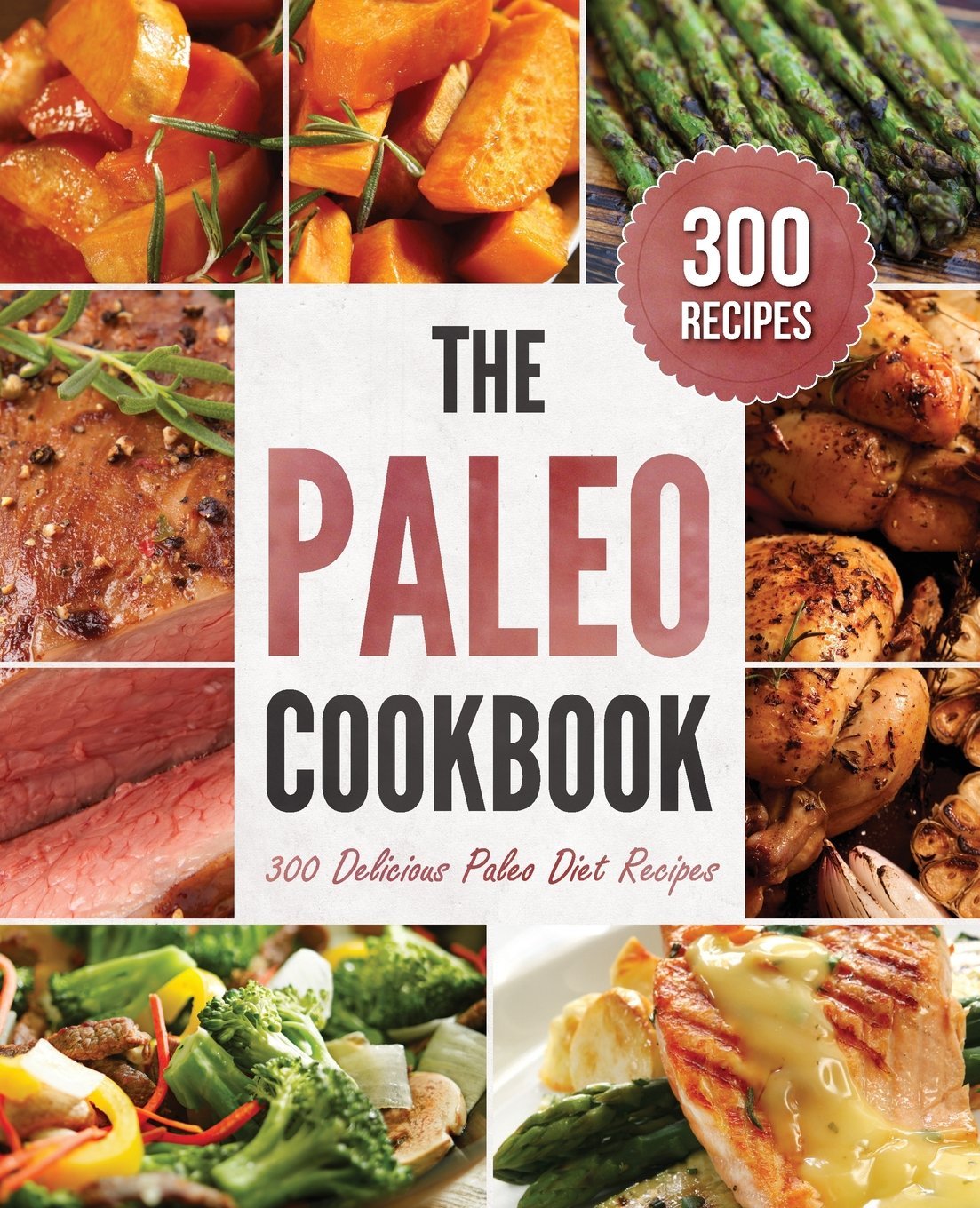Paleo Cookbook Delicious Paleo Diet Recipes by Rockridge Press Book PB NEW