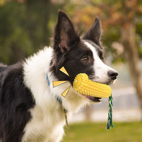 Dog Chew Toys for Aggressive Chewer Teeth Cleaning Durable Squeaky Corn Toys - Picture 3 of 14