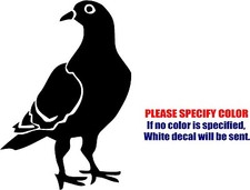 Vinyl Decal Sticker - PIGEON STAPLE USA Car Truck Bumper Window Boat JDM Fun 12"