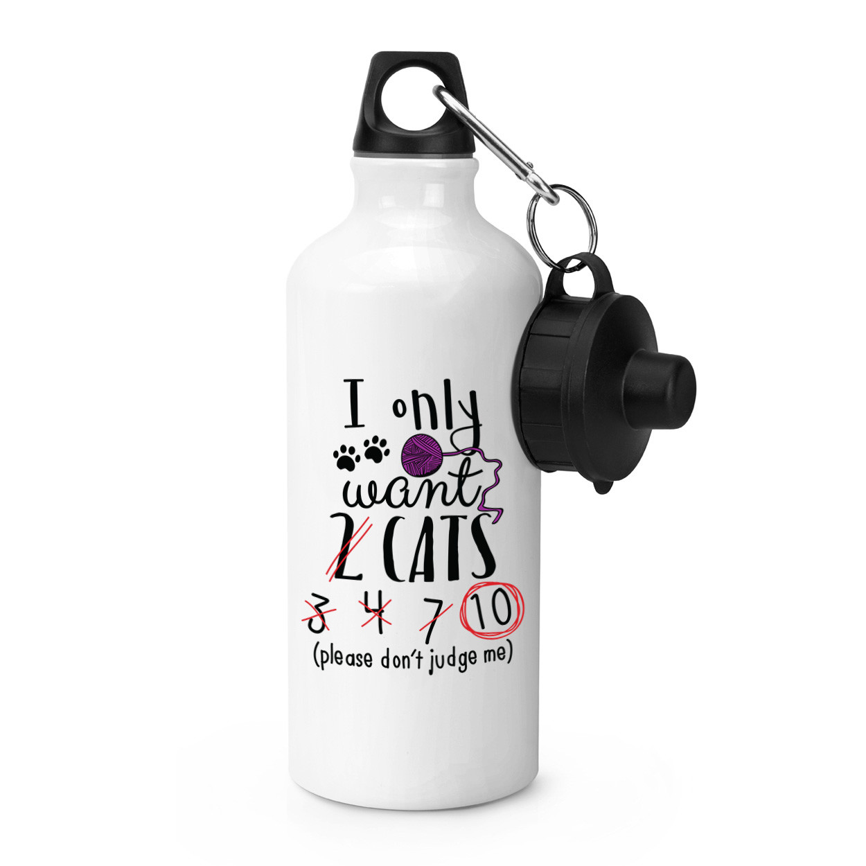 I Only Want 2 Cats Sports Drinks Bottle Camping Flask - Funny Crazy Cat Lady