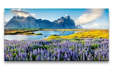 Quadro su tela 120x60 cm