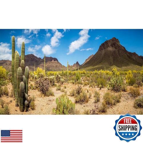 Desert Reptile Tank Background Saguaro Cacti Blue Sky Desert Landscape Terrar
