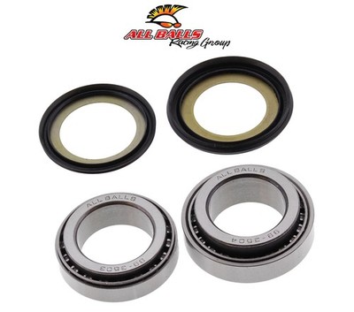 KZ1000D Z1R _ 1978-1980 _ Kawasaki _ Heavy Duty Steering Stem Bearing & Seal Kit
