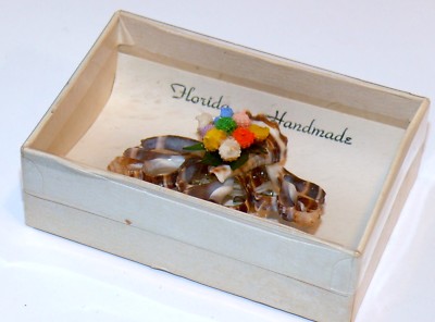 Vintage Seashell Shell Conch Handmade Brooch Florida Souvenir in Box 2. ...