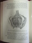 Foto 7 di 14