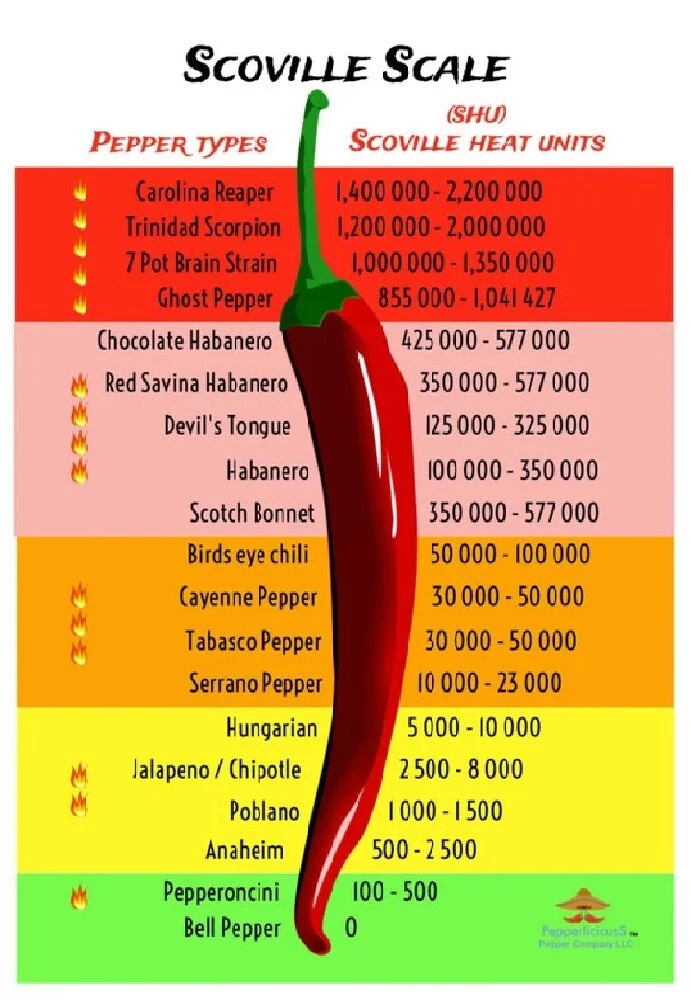 SCOVILLE SCALE OF PEPPERS Photo Magnet @ 3x5