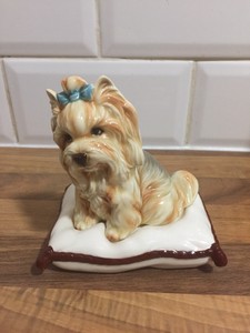 yorkshire westie