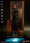 Hot Toys Catwoman 2.0 MMS627 Batman The Dark Knight Trilogy DC Anne Hathaway