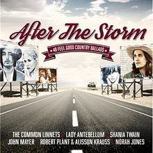 After The Storm - 40 Feel Good Country Ballads von Th... | CD | Zustand sehr gut