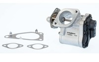 Borgwarner AGR Ventil 710938D FüR Renault ScÉNic 2 JM0 Megane KM0 LM0 Coupé EM0