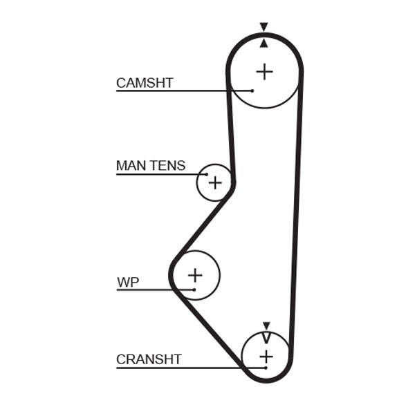GATES-OE 5085 Timing Belt for FORD,MAZDA