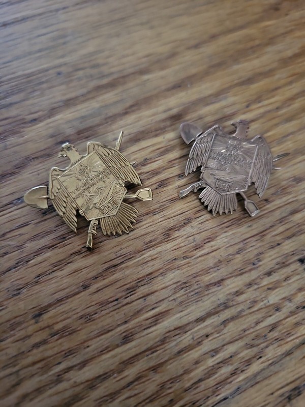 RARE Peru Peruvian Army Military vintage badge General engineer range 