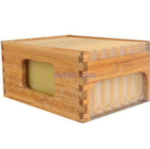 7PCS Upgraded Beekeeping Tool Hive Frames + Beehive Wooden Brood Box ...