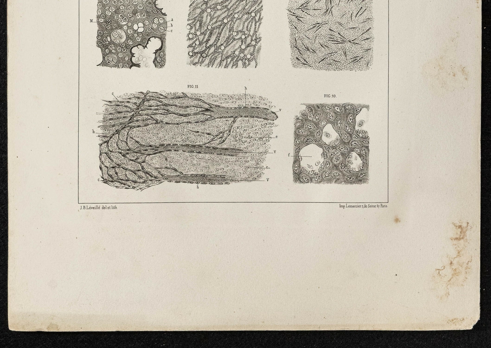 Picture 3 of 3