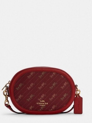 NWT ❤️ Coach Mini Jamie Camera Bag With Leopard Print | eBay