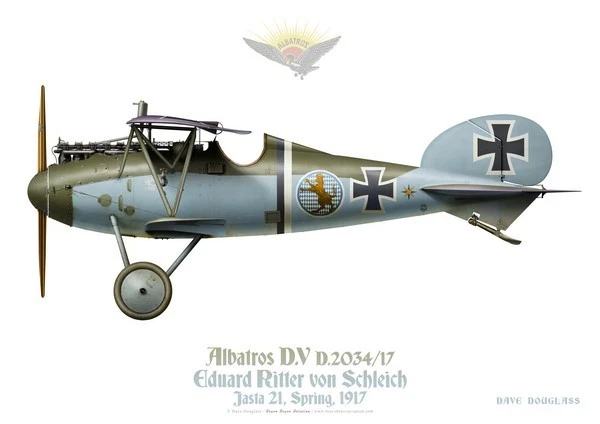 Print Albatros D.V, Eduard Ritter von Schleich, Jasta 21, 1917 (by D. Douglass)