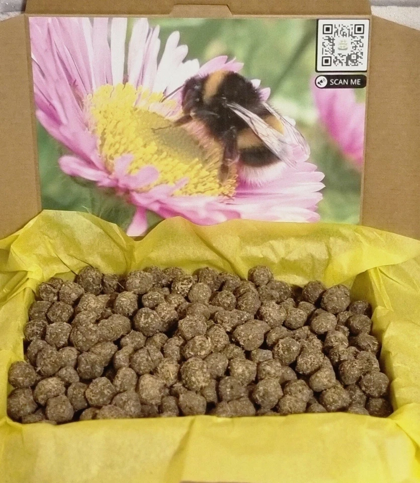 Bee Bombs Wildflower seeds gardener gift flowers meadow butterflies present ball - Image 3 of 4
