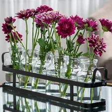 6Pc Glass Flower Vase with Metal Holder, Best Vases for Flowers, Set for Home De