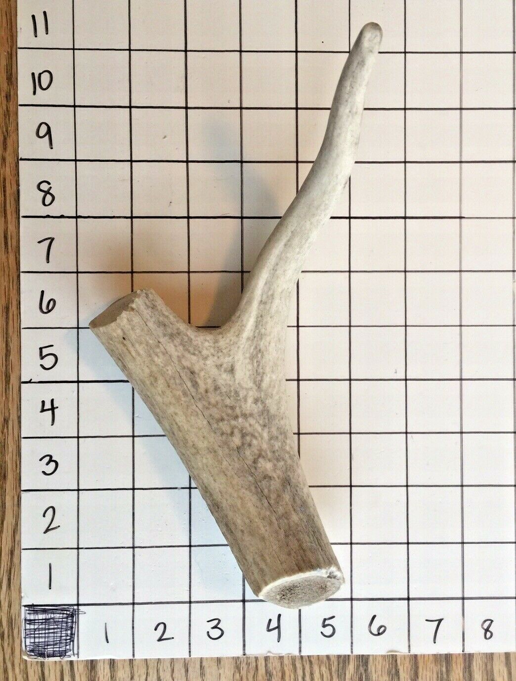 Organic Elk & Deer premium antler chew treats toys for dogs