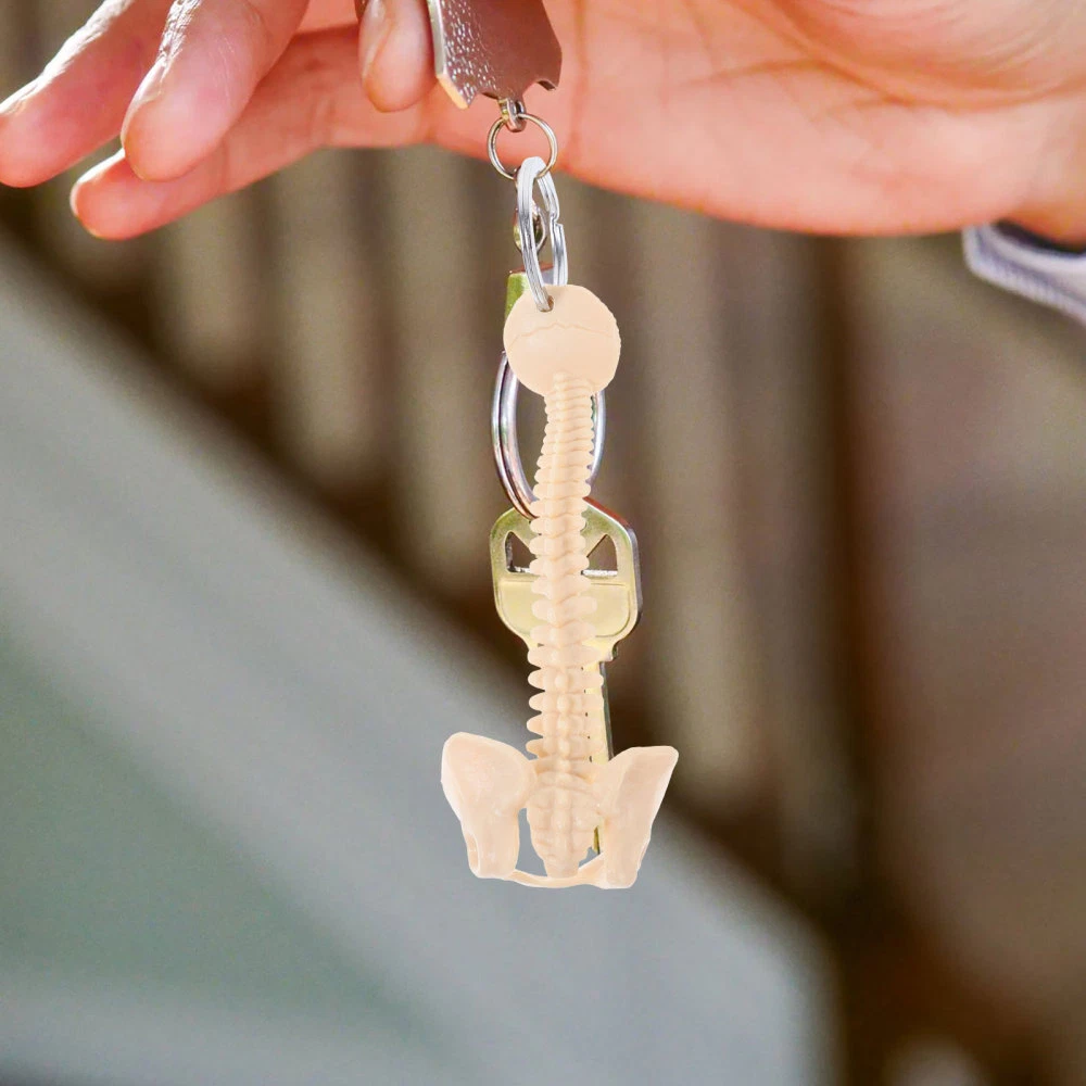 Spine keychain deals bulk