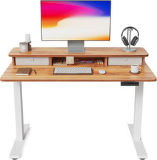 40 X 24 Inch Height Adjustable Electric Standing Desk with Double Drawer, Stand