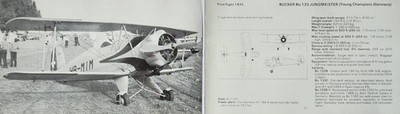 Bucker Picture Aircraft Info Detail Vtg Original Article Sheet Decor