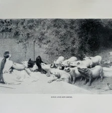 1902 Circe And Her Swine Riviere Typogravure Homer's Odyssey Mythology DWP8D