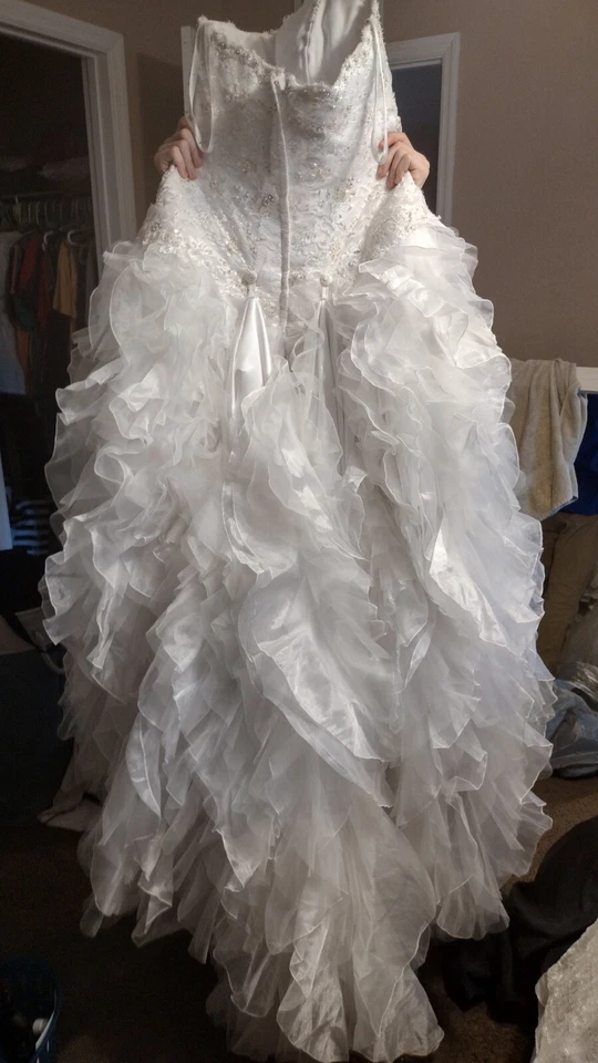 Gorgeous!! Fairy Tale Looking David's Bridal Size 14 Wedding Dress - Image 3 of 4
