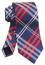 Men's Gingham Plaid Stripe Ties Formal Designer One Size Navy Red White