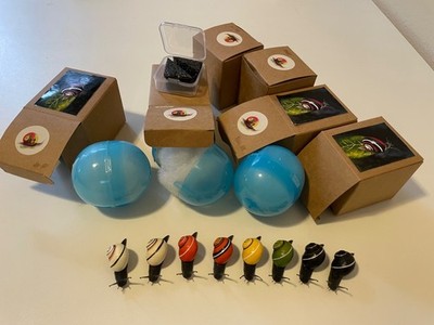 EXTREMELY RARE - Polymita Picta Snail Toy Figurines - Nirvana Studio 涅槃自然工作室