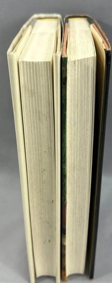 2 Mario Vargas Llosa HC/DJ Books,The Story-Teller & Real Life Of Alejandro Mayta Foto 3 de 4