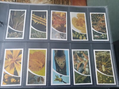 Brooke bond tea cards full set Small Wonders (5)