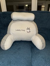 Hug/cuddle Cushion