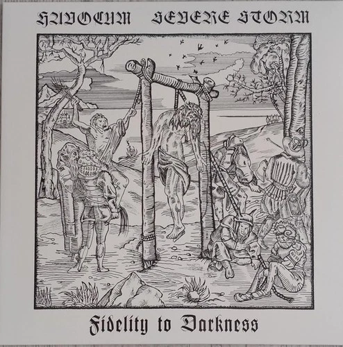 SEVERE STORM/HAVOCUM - Fidelity To Darkness, New, black metal, LP, Capricornus