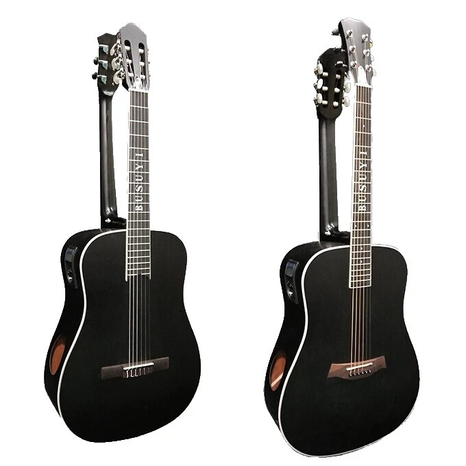6-струнные акустические электрогитары с двойным грифом