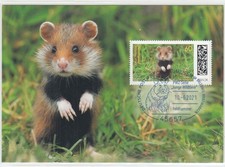 1374 / Maximumkarte BUND 2021 FAUNA HAMSTER