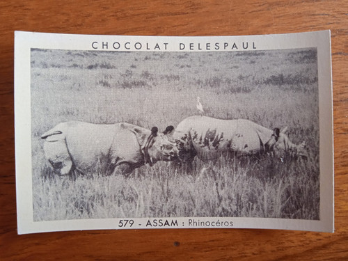 Chocolat Delespaul Vignette