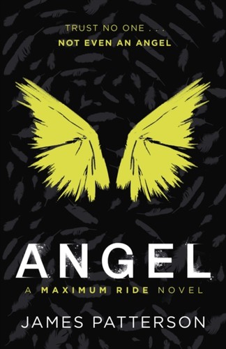 Angel: Ein Maximum Ride Roman: Maximum Ride 7 Taschenbuch James Patt