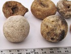 METEORITE ROUND ROCK WEAUBLEAU IMPACT STRUCTURE EGG BOWL LOT Missouri Ball site — photo 4