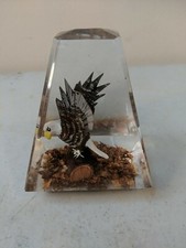 Hand Wood Carved Eagle Encased In Resin