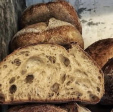 SAN FRANCISCO SOURDOUGH STARTER yeast Free Shipping family maintained 235yr Old