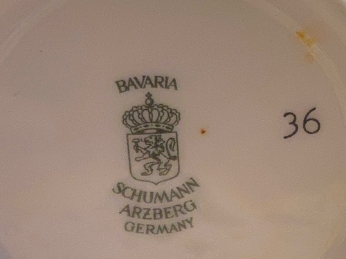 Bavaria Schumann Arzberg Germany Coffee Mug with Blue Parrots - Picture 7 of 7