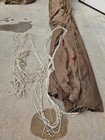 Foto 5 di 14