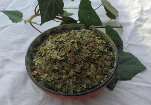Krauterino24 - foglie di edera tagliate - 100 g - Foto 1 di 1