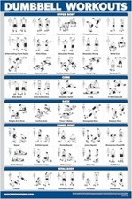 Palace Learning Dumbbell Workout Exercise Poster - Free Weight Body Building Gui